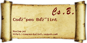 Csépes Bálint névjegykártya